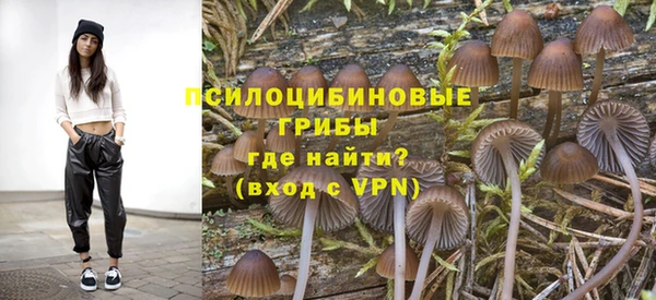 крисы Вязьма