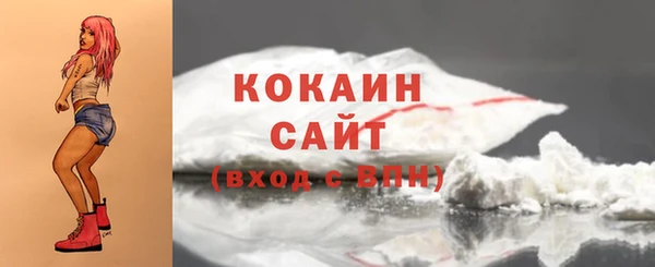 крисы Вязьма